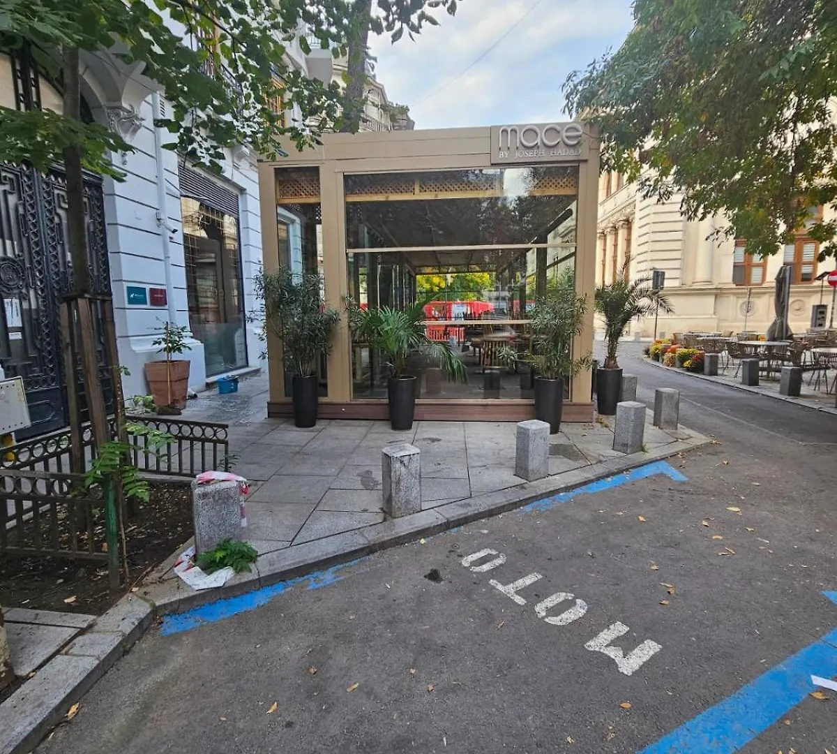 Heart Of City Center 4Br 2Bath Bucareste